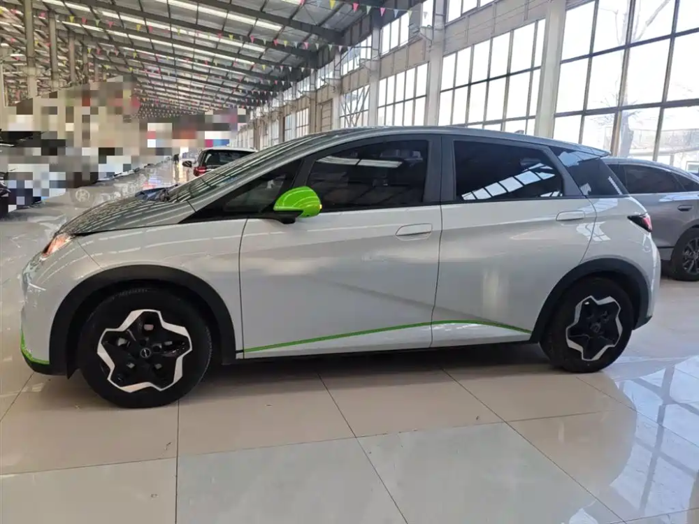 BYD Dolphin [Dolphin 2021 405km fashion Version]