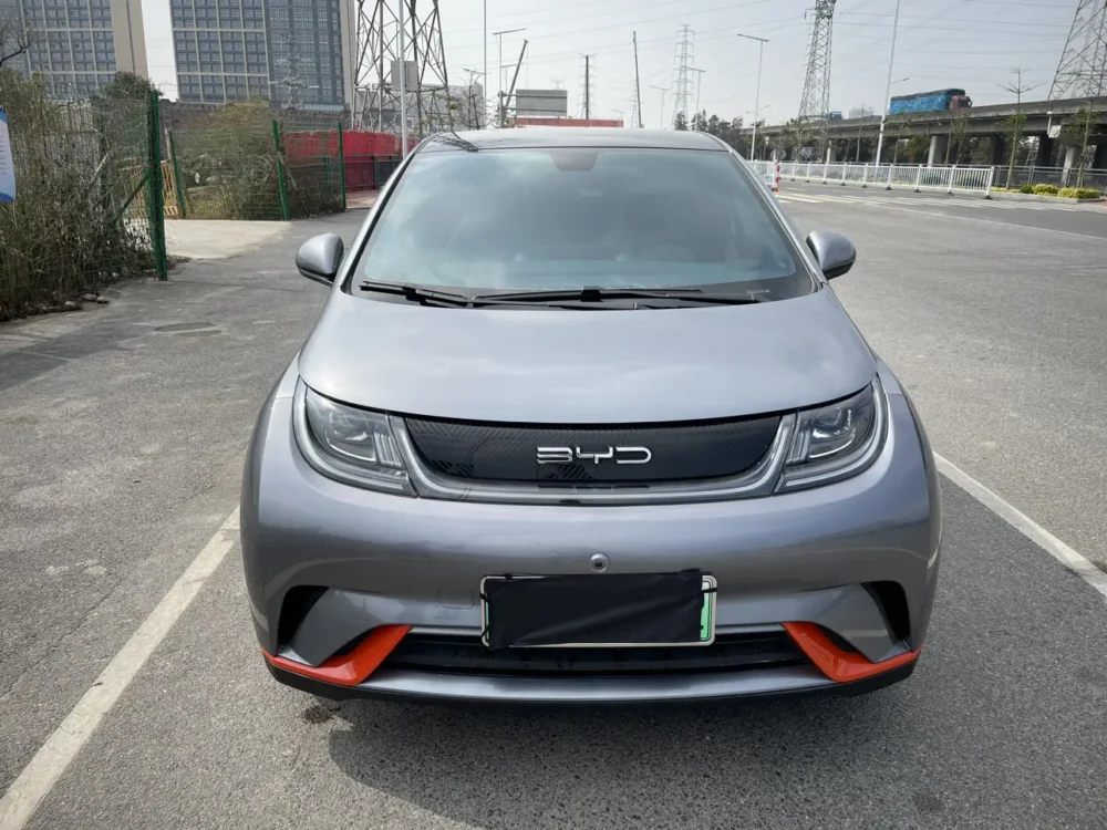 BYD Dolphin Fashion Edition