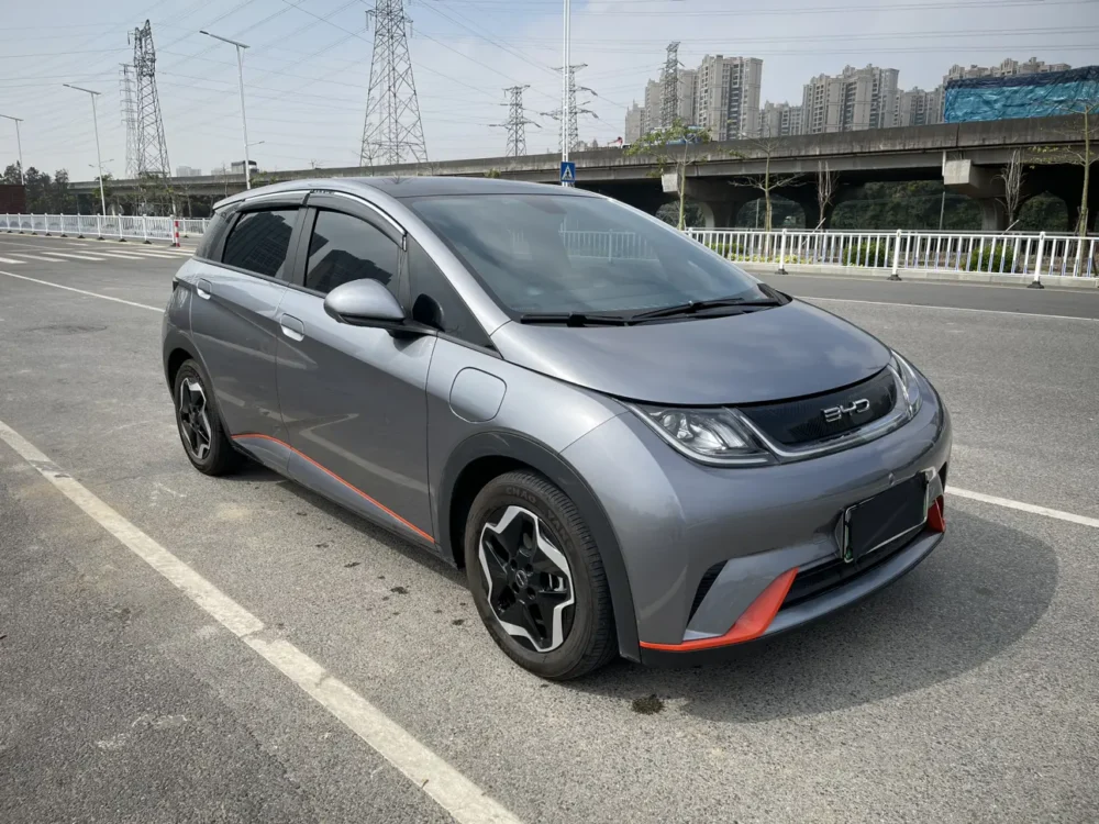 BYD Dolphin Fashion Edition