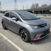 BYD Dolphin Fashion Edition
