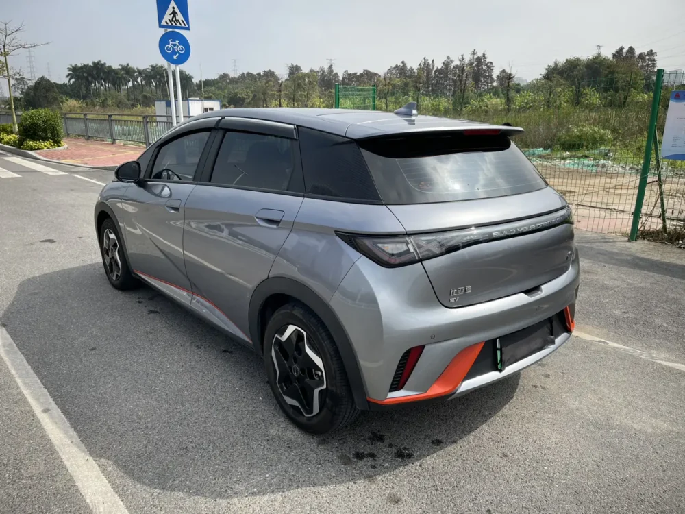 BYD Dolphin Fashion Edition