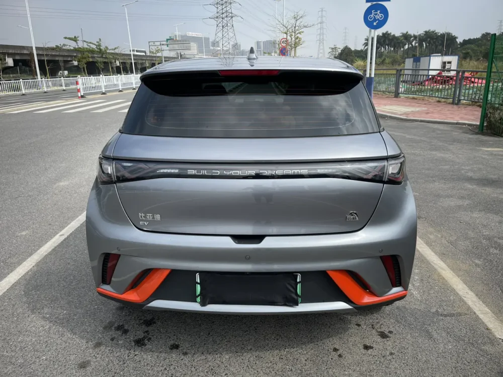 BYD Dolphin Fashion Edition