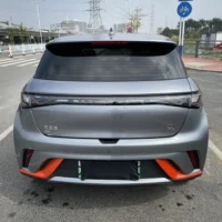 BYD Dolphin Fashion Edition