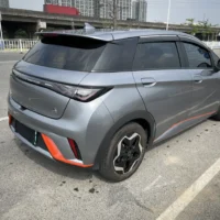 BYD Dolphin Fashion Edition