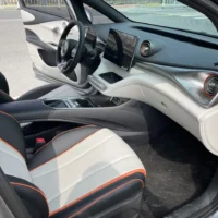 BYD Dolphin Fashion Edition