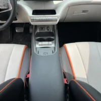 BYD Dolphin Fashion Edition