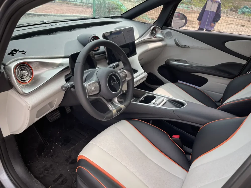BYD Dolphin Fashion Edition