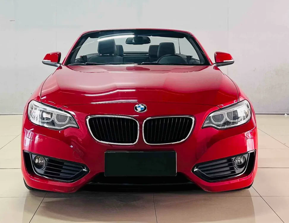 BMW 2 Series 218i Convertible Coupe