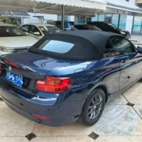 BMW 2 Series 218i Convertible Coupe