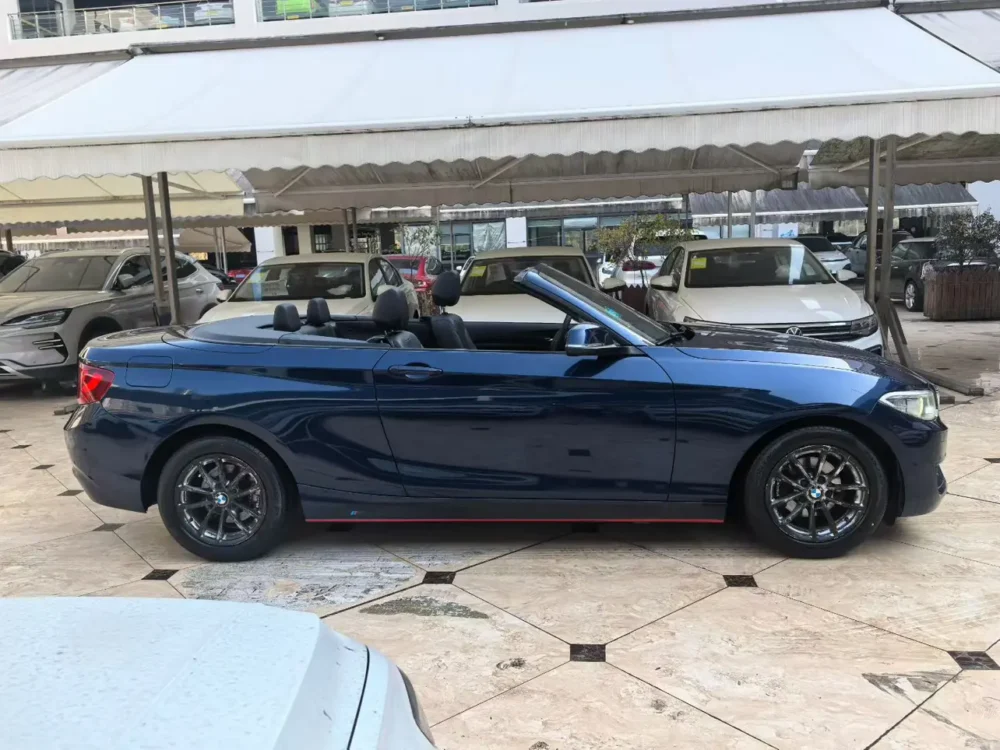 BMW 2 Series 218i Convertible Coupe