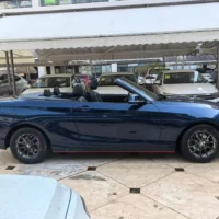 BMW 2 Series 218i Convertible Coupe