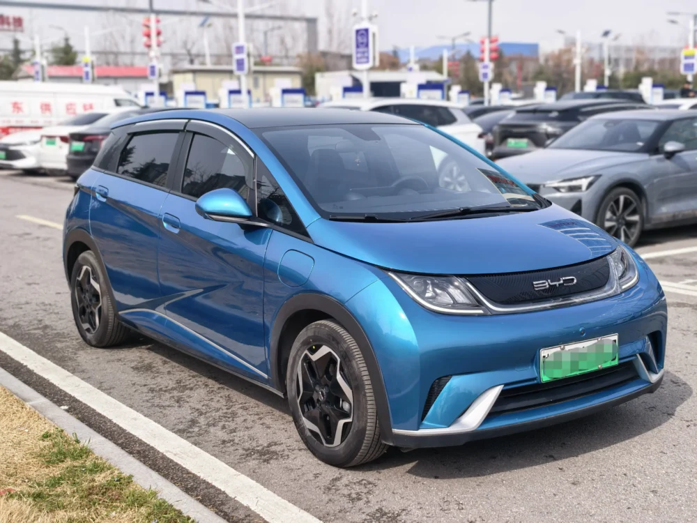 BYD Dolphin Fashion Edition