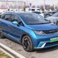 BYD Dolphin Fashion Edition