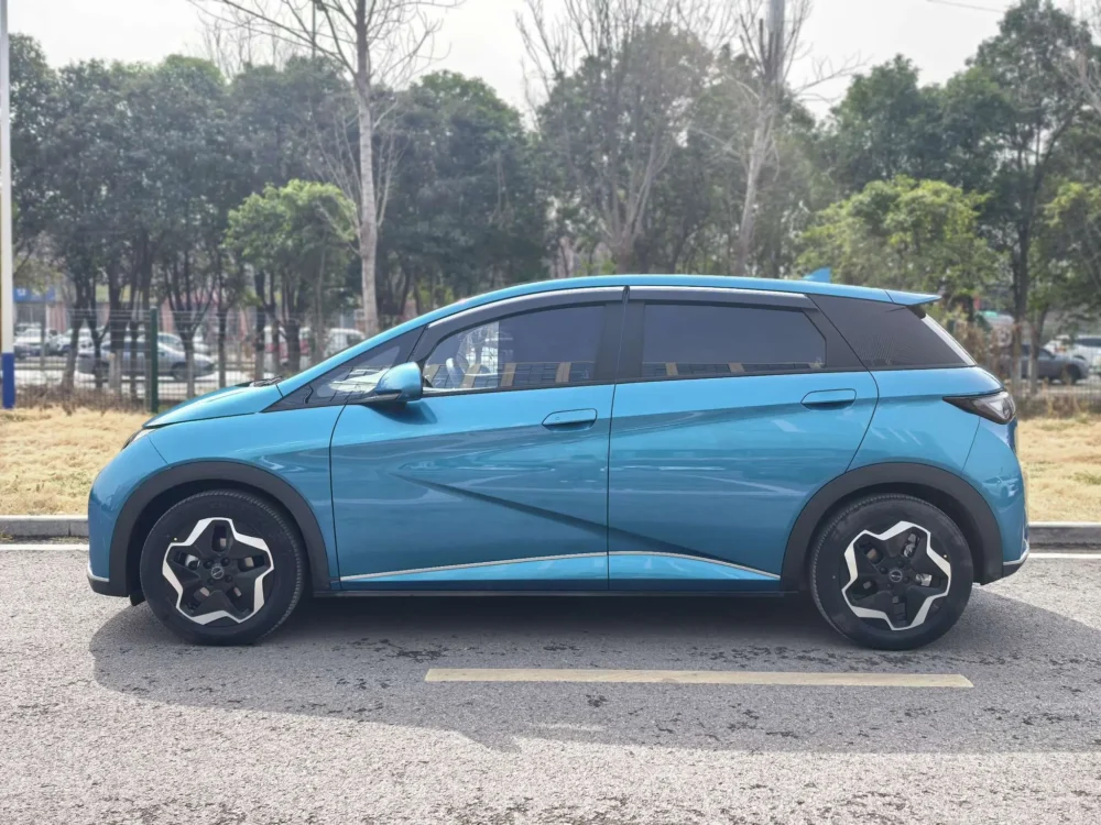 BYD Dolphin Fashion Edition