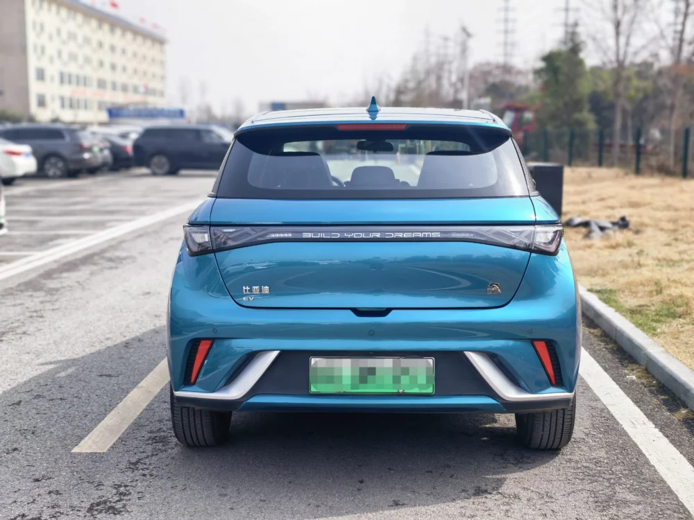 BYD Dolphin Fashion Edition
