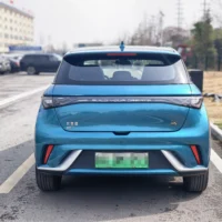 BYD Dolphin Fashion Edition