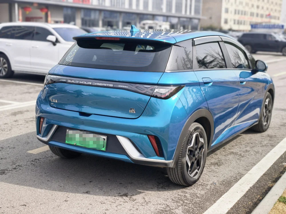 BYD Dolphin Fashion Edition