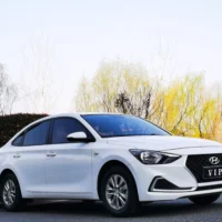 Hyundai Celesta 1.6L Automatic GL