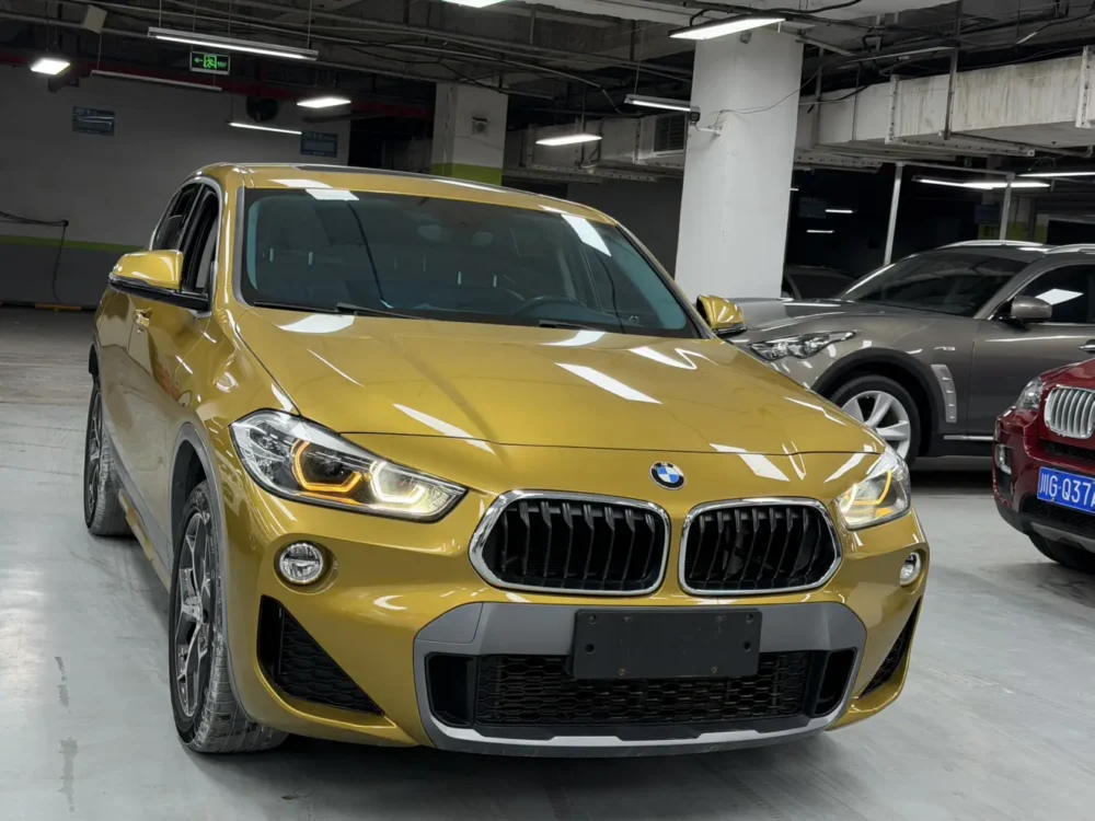 BMW X2 sDrive20i M off-road package
