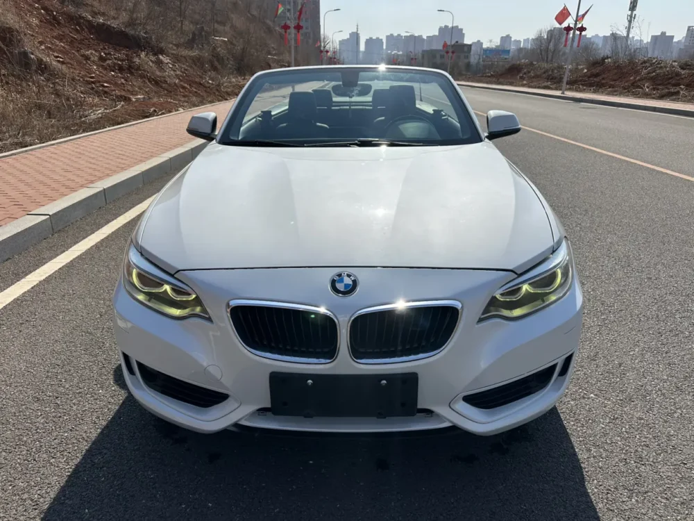 BMW 2 Series 218i Convertible Coupe