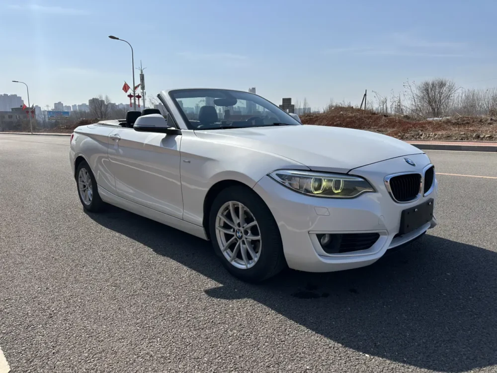 BMW 2 Series 218i Convertible Coupe