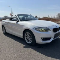 BMW 2 Series 218i Convertible Coupe