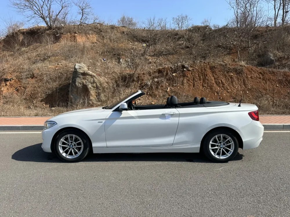 BMW 2 Series 218i Convertible Coupe
