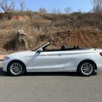 BMW 2 Series 218i Convertible Coupe