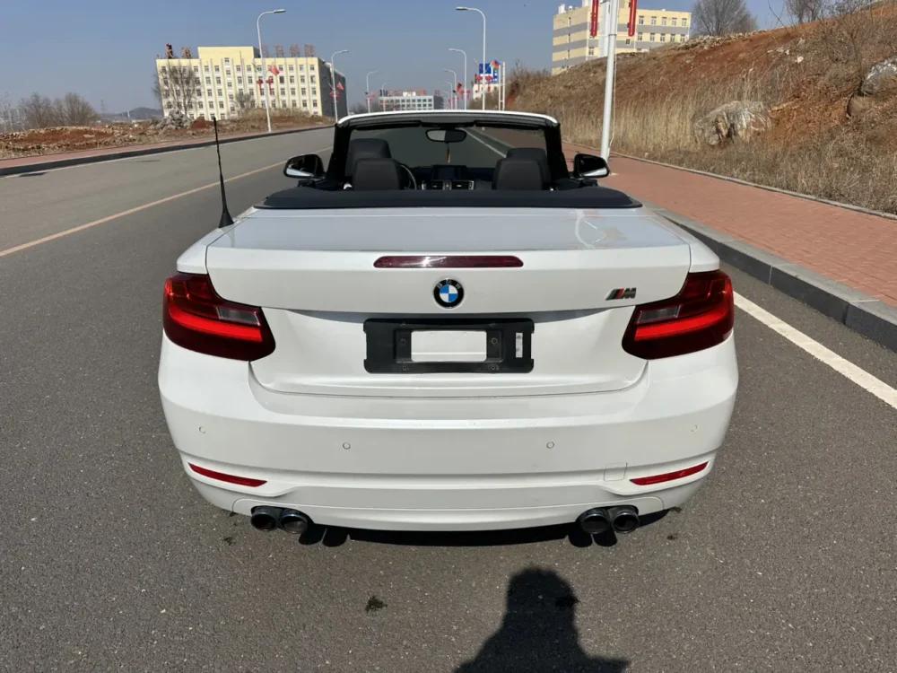 BMW 2 Series 218i Convertible Coupe