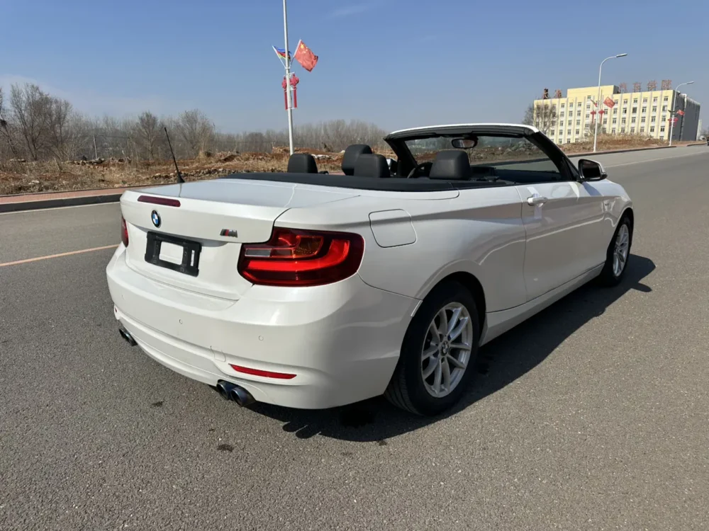 BMW 2 Series 218i Convertible Coupe