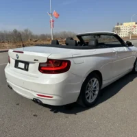 BMW 2 Series 218i Convertible Coupe