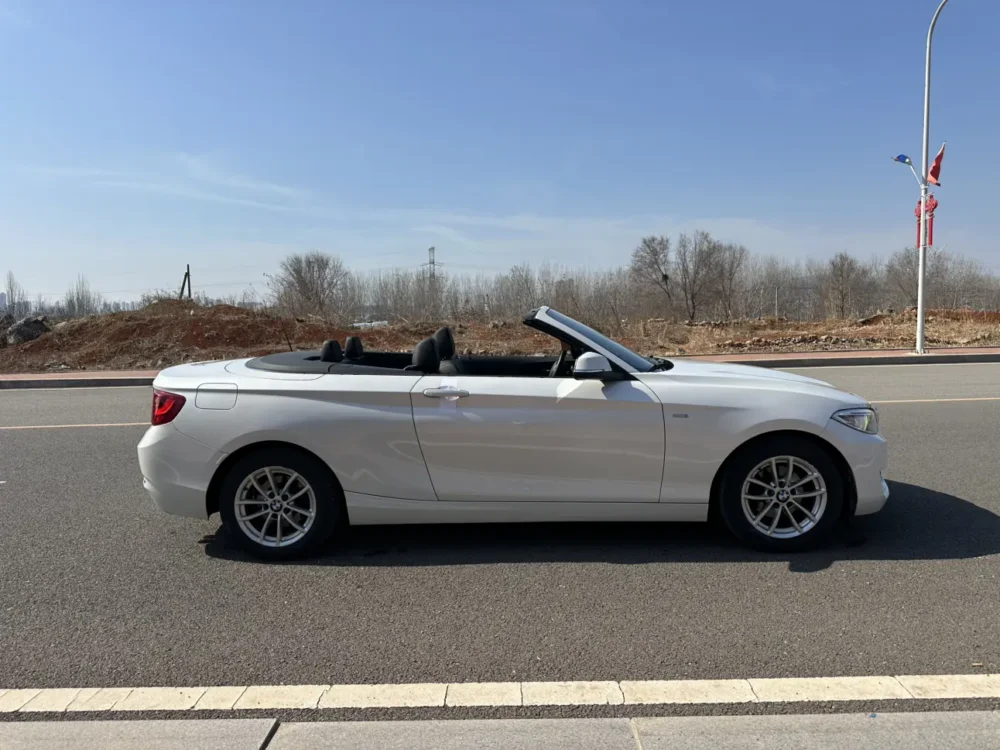 BMW 2 Series 218i Convertible Coupe