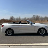 BMW 2 Series 218i Convertible Coupe