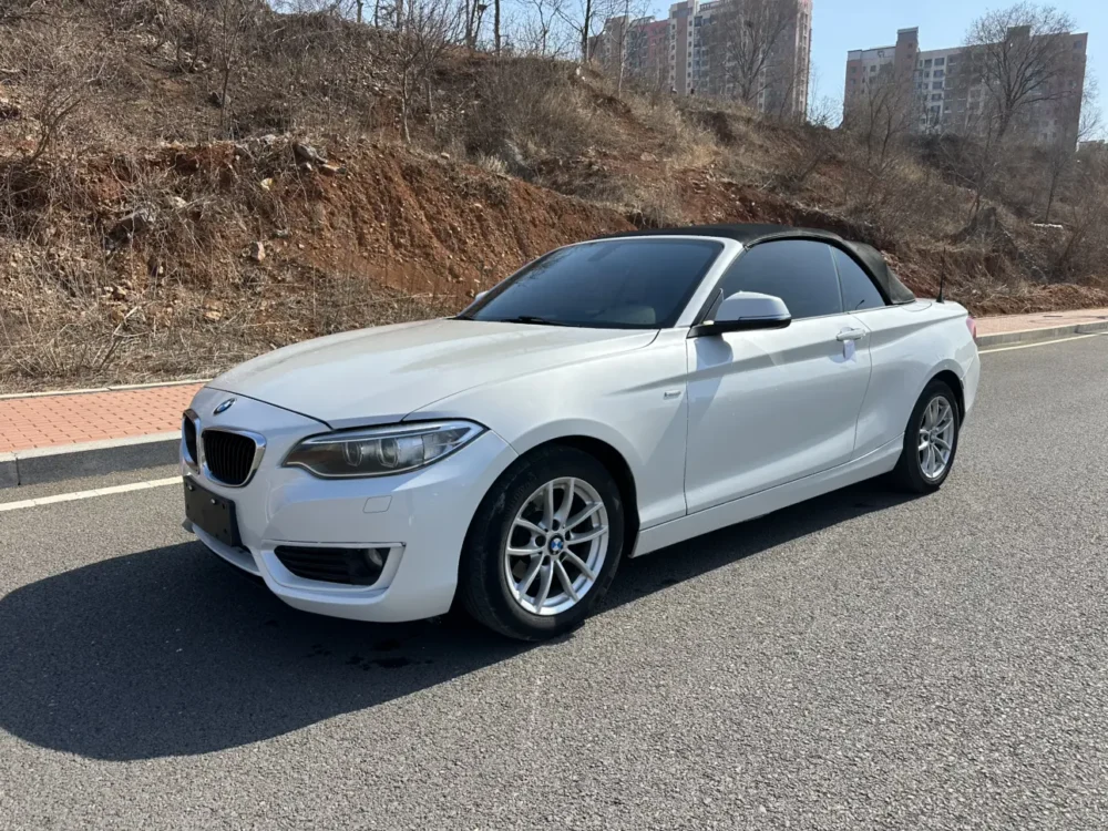 BMW 2 Series 218i Convertible Coupe