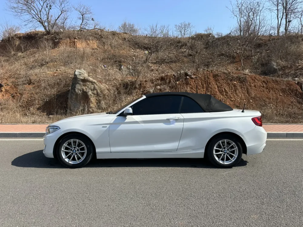 BMW 2 Series 218i Convertible Coupe