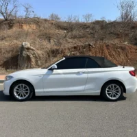 BMW 2 Series 218i Convertible Coupe