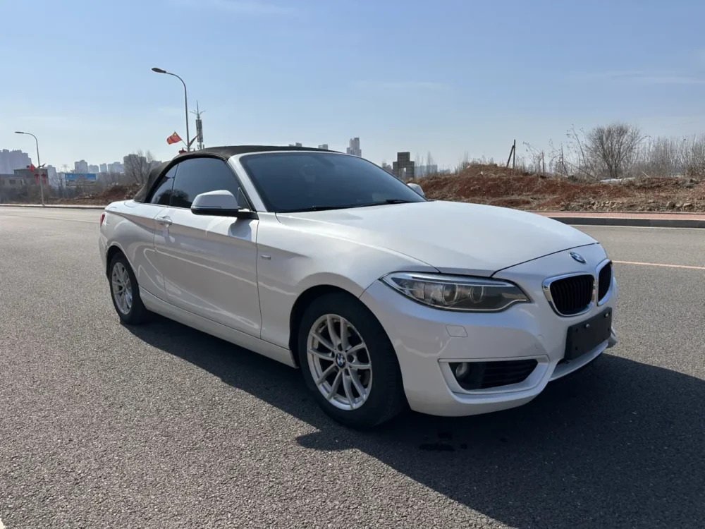 BMW 2 Series 218i Convertible Coupe