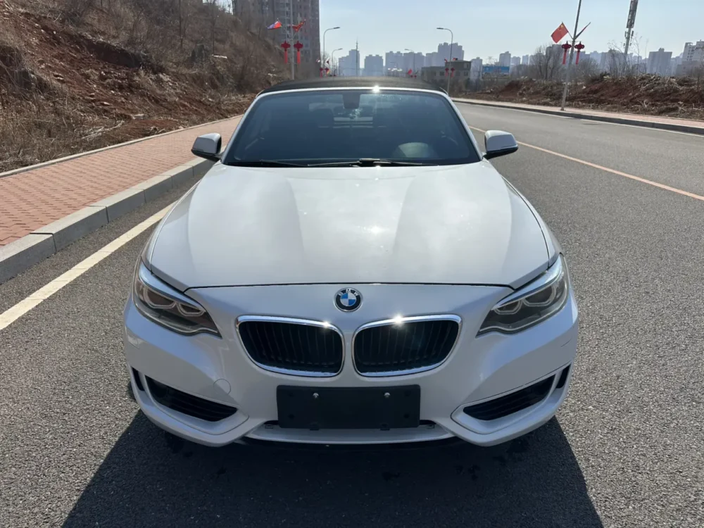 BMW 2 Series 218i Convertible Coupe
