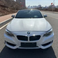 BMW 2 Series 218i Convertible Coupe