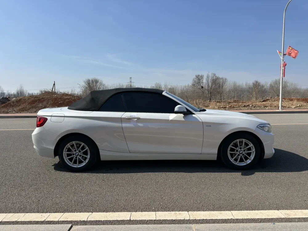 BMW 2 Series 218i Convertible Coupe