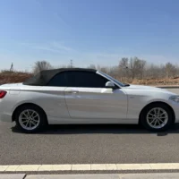 BMW 2 Series 218i Convertible Coupe