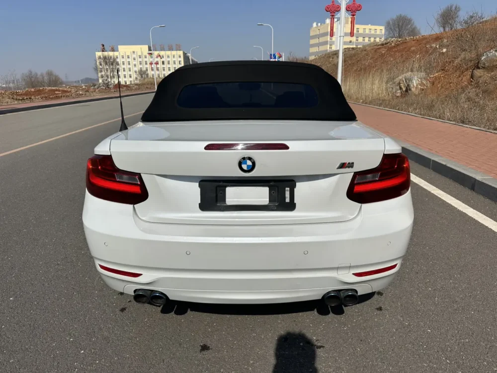 BMW 2 Series 218i Convertible Coupe