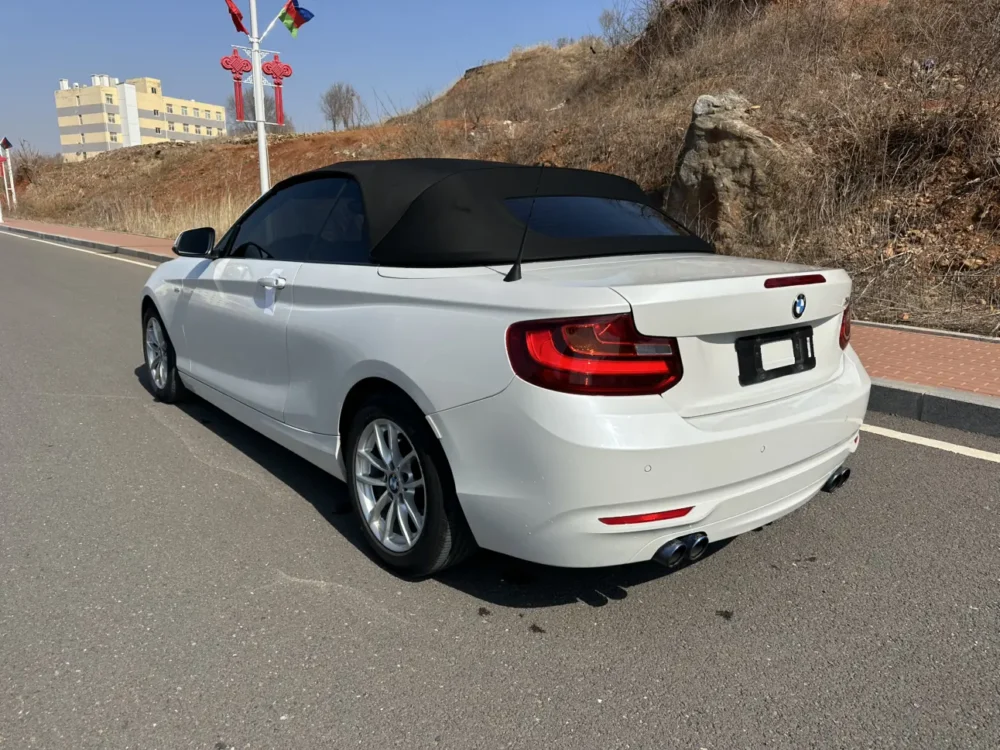 BMW 2 Series 218i Convertible Coupe