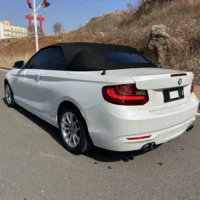 BMW 2 Series 218i Convertible Coupe