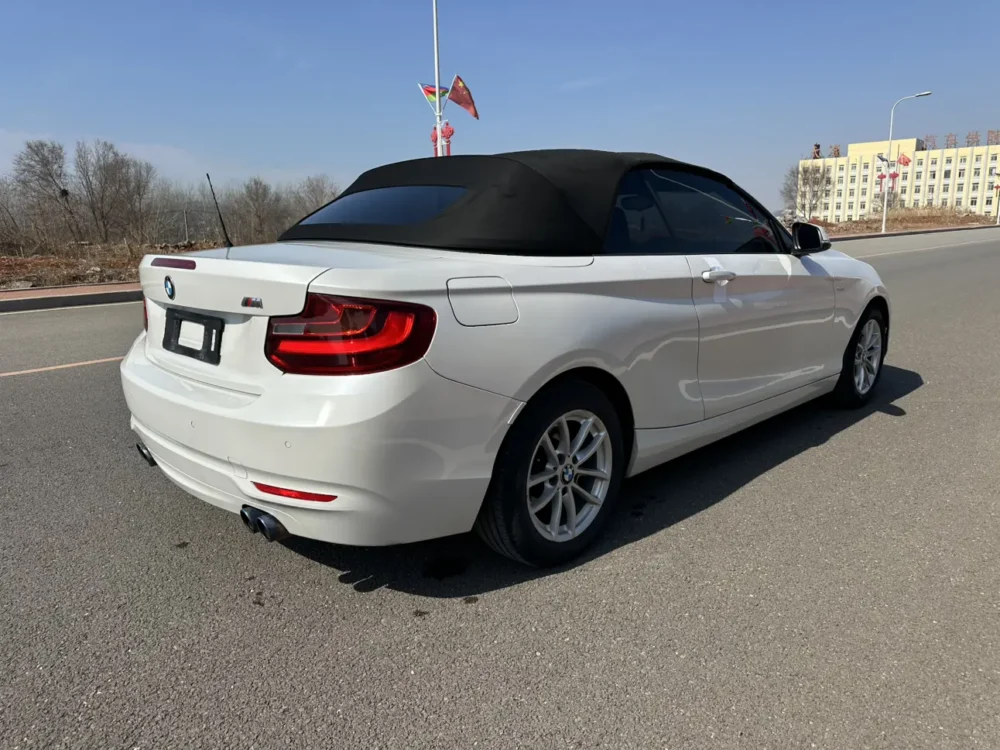 BMW 2 Series 218i Convertible Coupe
