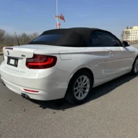 BMW 2 Series 218i Convertible Coupe