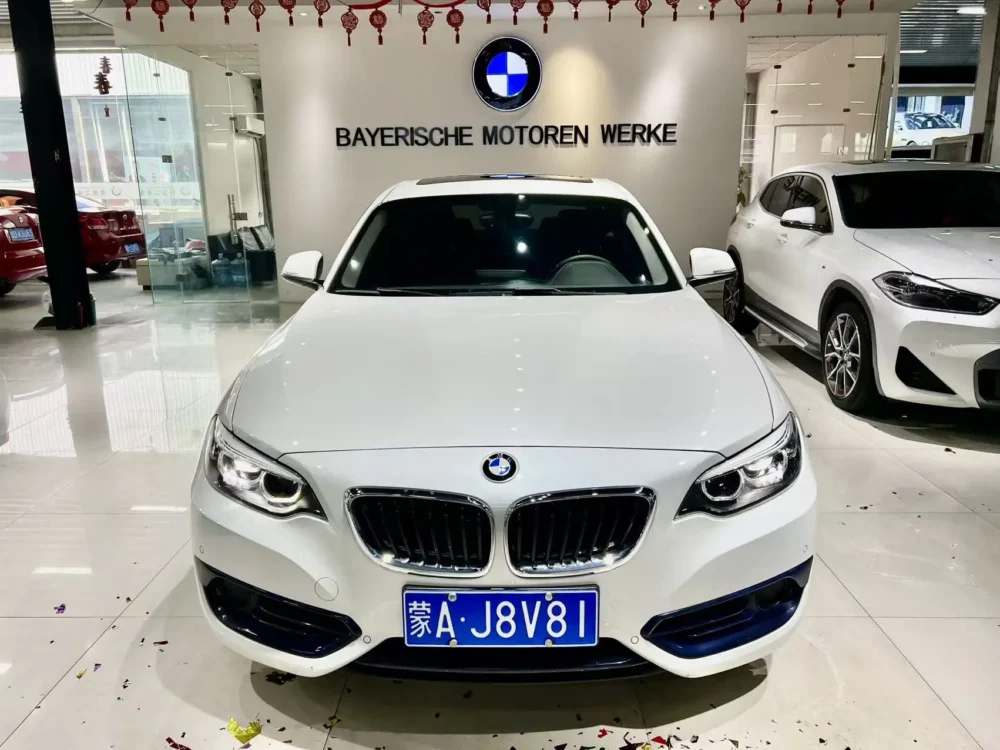 BMW 2 Series BMW 2 Series (Imported) 220i Sports Design Package
