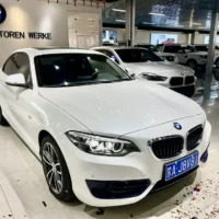 BMW 2 Series BMW 2 Series (Imported) 220i Sports Design Package