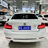 BMW 2 Series BMW 2 Series (Imported) 220i Sports Design Package