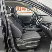 Jetour X70M 1.5T MT avantgarde companion type